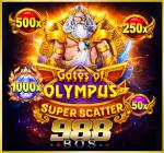 FREE SPIN 800 x 20